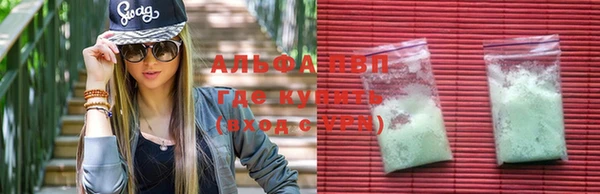 apvp Кукмор