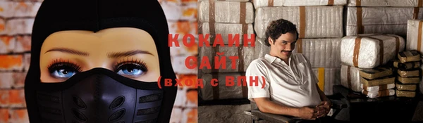 спайс Корсаков