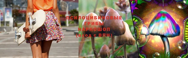 apvp Кукмор